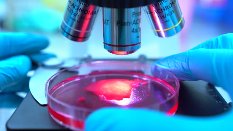 Stem cell therapy benefits and applications