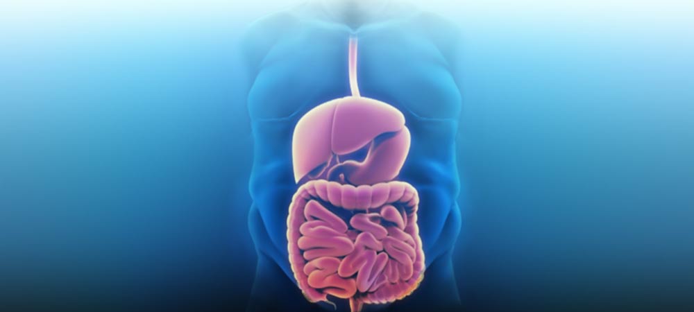 Gastric Sleeve vs. Gastric Bypass