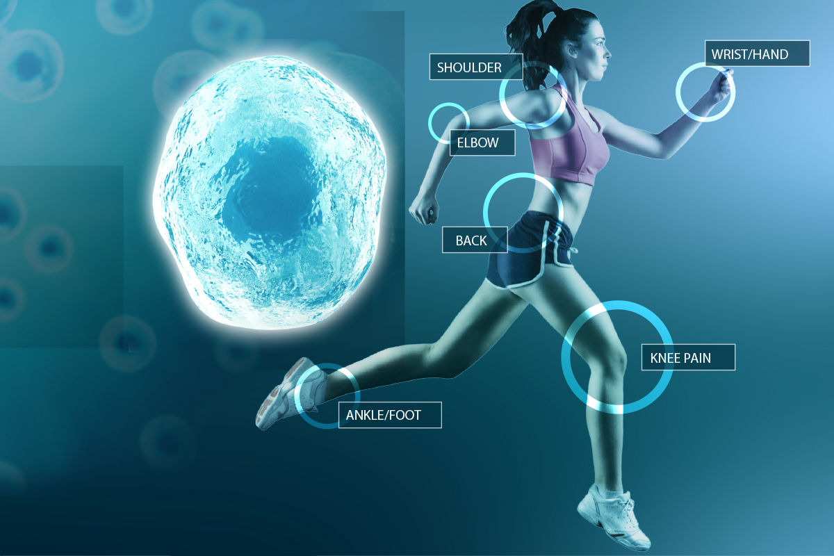 Future of Regenerative Medicine: Stem Cells in Healthcare