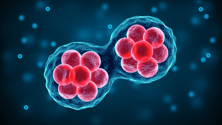 Stem Cell Therapy for Fighters