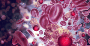 The Latest Breakthroughs in Stem Cell Research What the Future Holds for Medicine